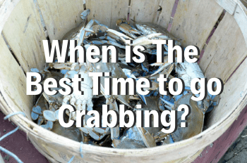 When’s The Best Time To Go Crabbing?