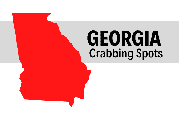 The Best Spots to go Crabbing in Georgia (And Catch Shrimp)