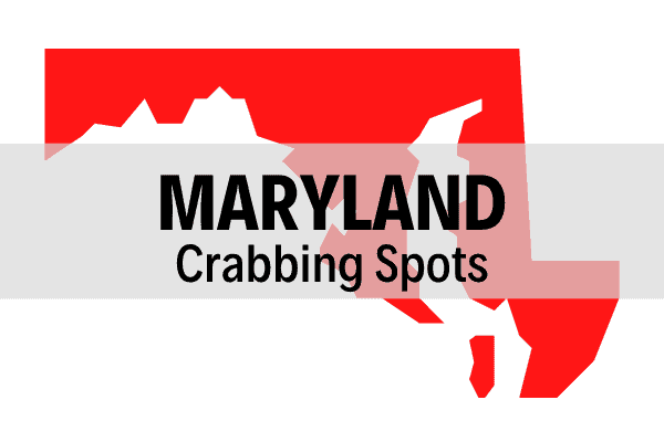 The Best Crabbing Spots in Maryland (The Complete Guide)