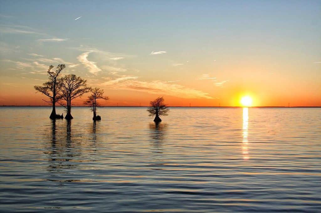 An image of a sunset on the Albemarle Sound