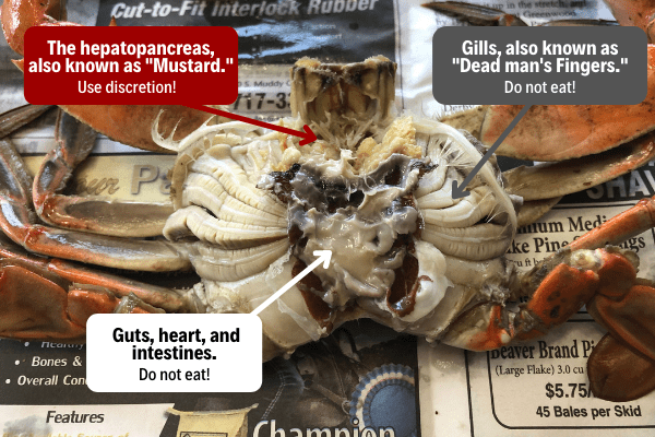 An opened cooked crab that labels the crab's hepatopancreas, gills, and guts. 