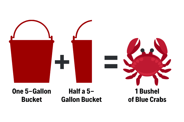 One and a half 5-gallon buckets filled with blue crabs is roughly 1 Bushel of Blue Crabs.