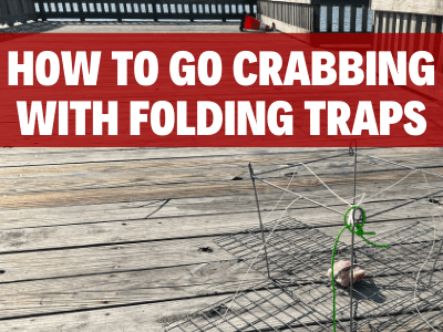 How to go Crabbing with Folding Traps (Collapsible Traps)