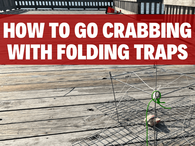 click here to go crabbing with folding traps