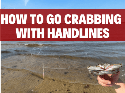 How to Catch Blue Crabs With a String (Handlines Guide)