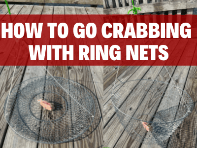 How To Go Crabbing With Ring Nets (For Blue Crabs)