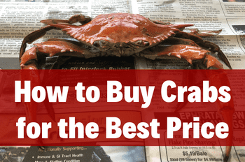 How to Buy Crabs and Get the Best Deal