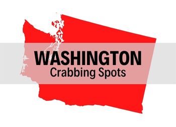 Where to go Crabbing in Washington State (Secret Spots)