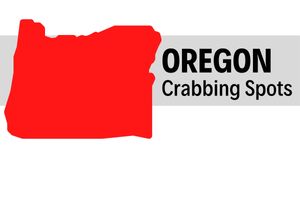 Where to go Crabbing in Oregon (Local Secret Spots)