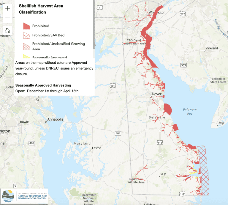 How to go Clamming in Delaware (Spots, Technique, & Rules) Crabbing Hub