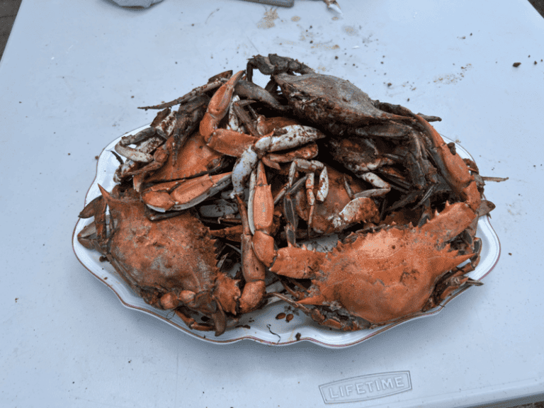 How to Pick & Clean a Blue Crab (From a Marylander)